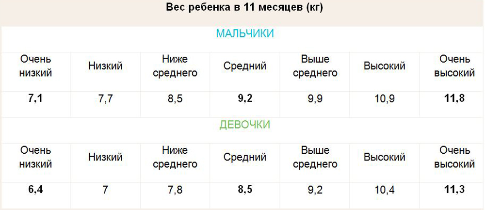 Стул в 11 месяцев норма